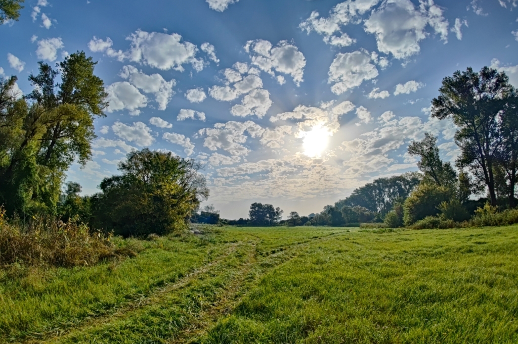 beillesztett kép