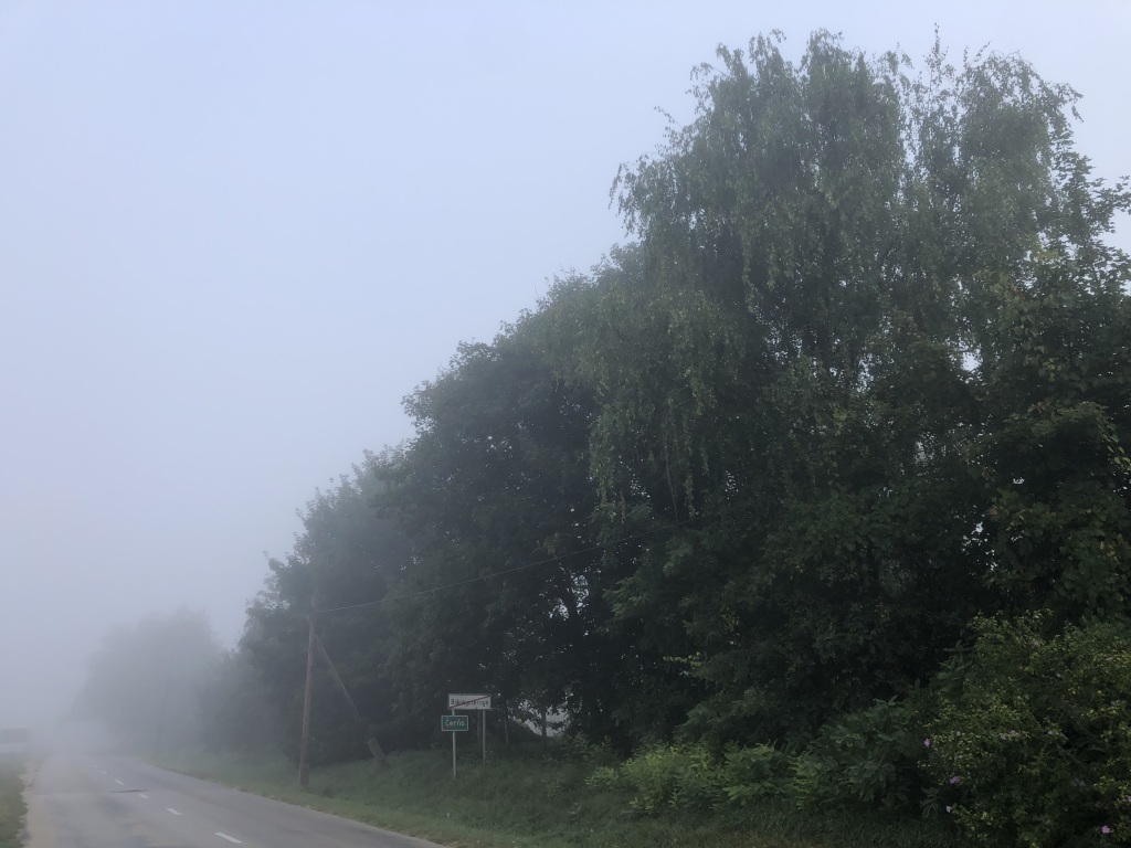 beillesztett kép