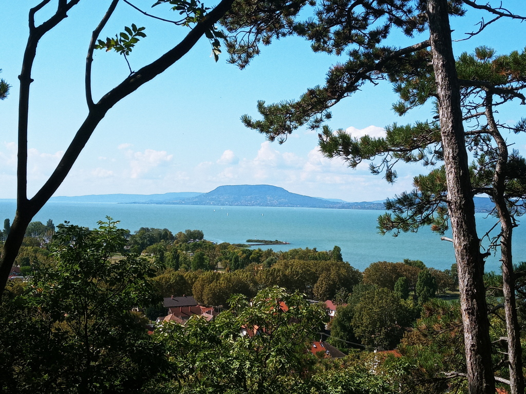 beillesztett kép