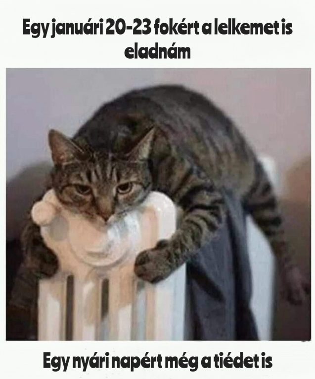 beillesztett kép