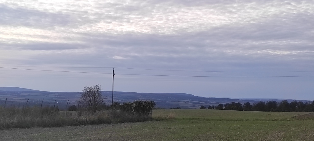 beillesztett kép