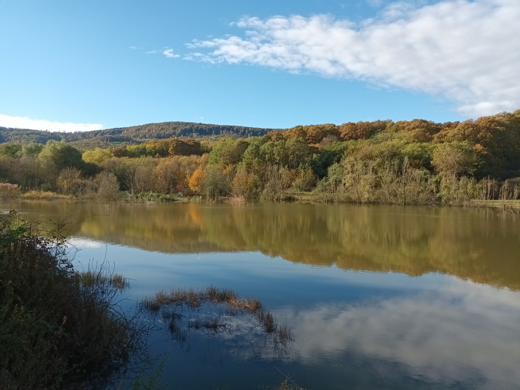 beillesztett kép