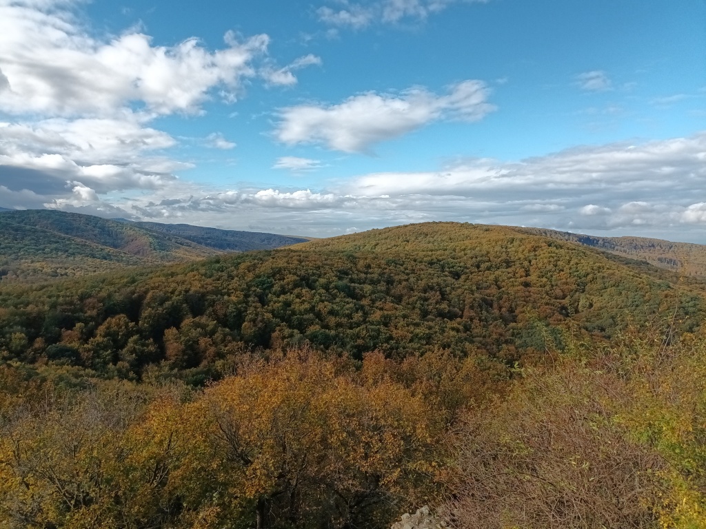beillesztett kép
