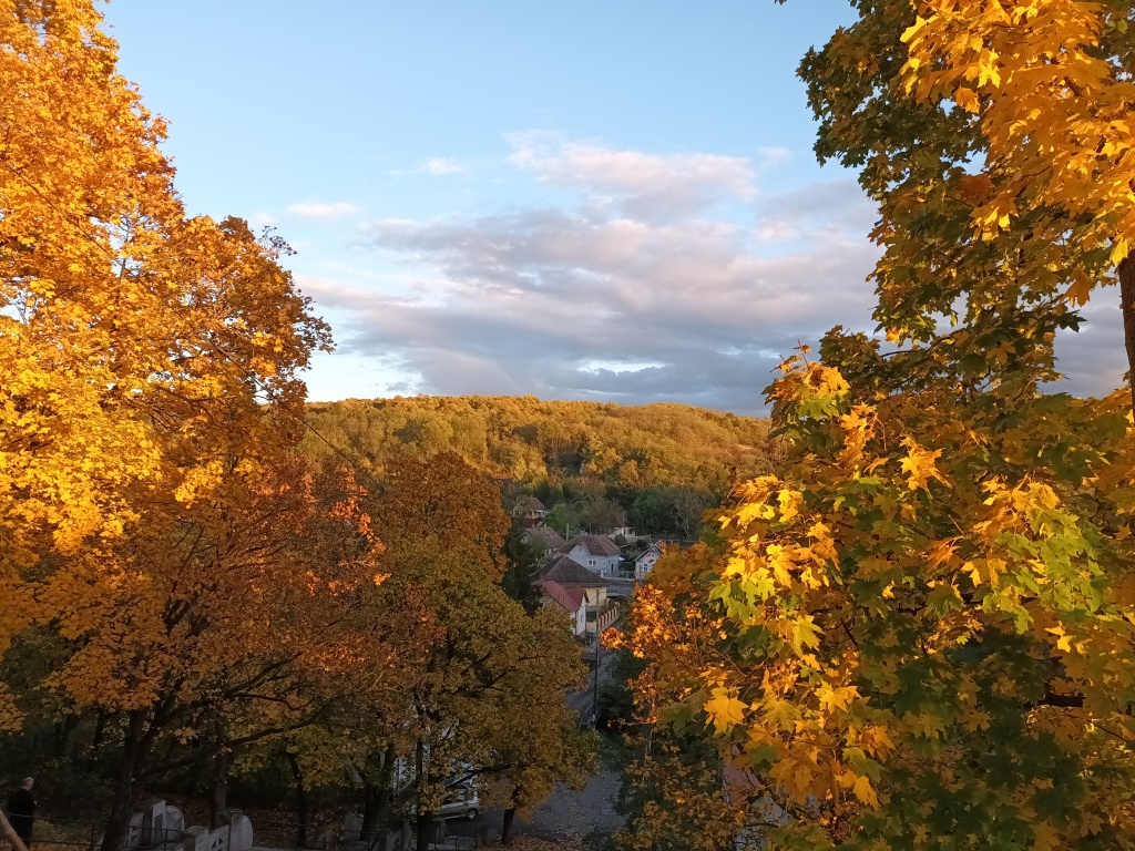 beillesztett kép