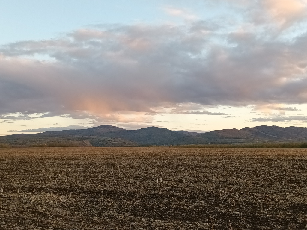 beillesztett kép