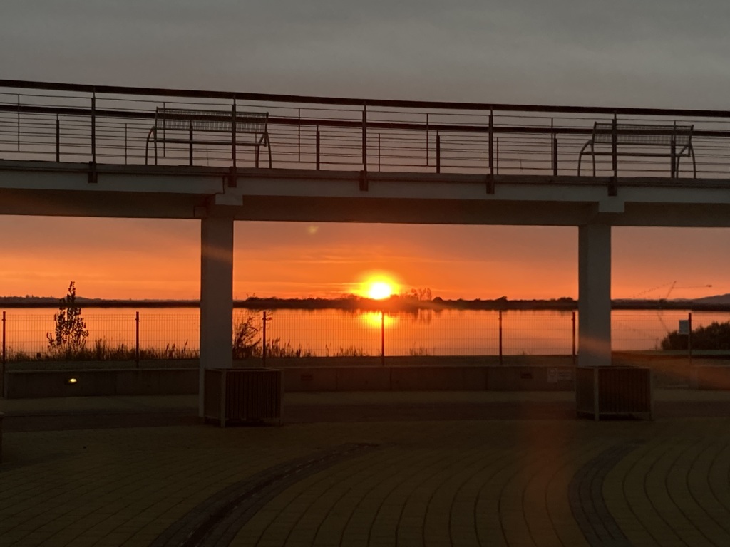 beillesztett kép