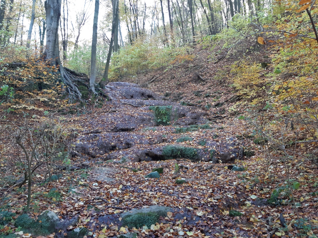 beillesztett kép