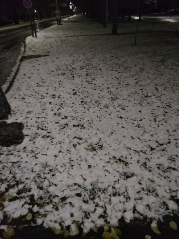 beillesztett kép