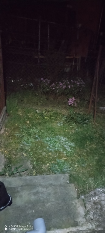 beillesztett kép