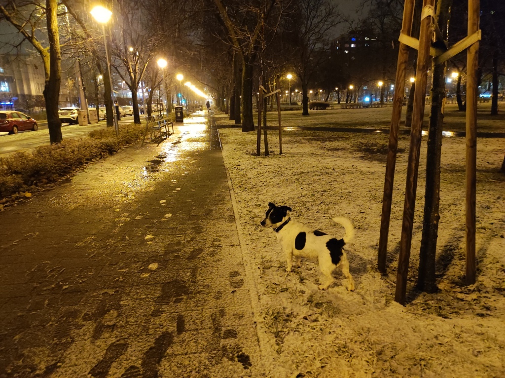 beillesztett kép