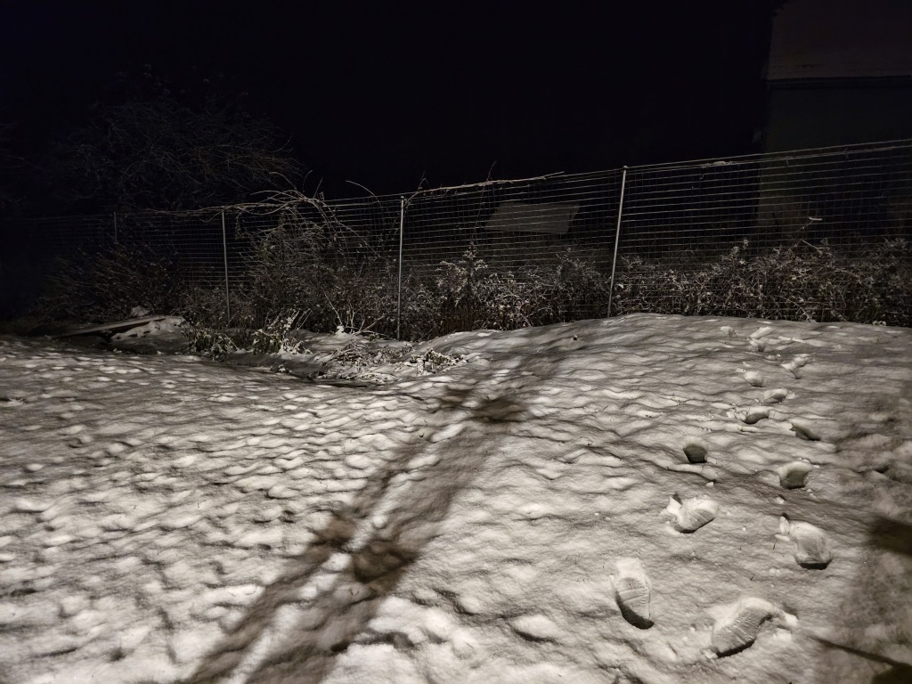 beillesztett kép