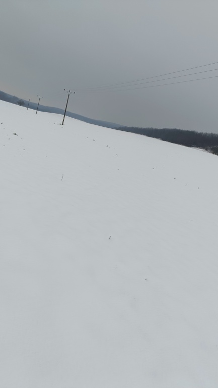 beillesztett kép