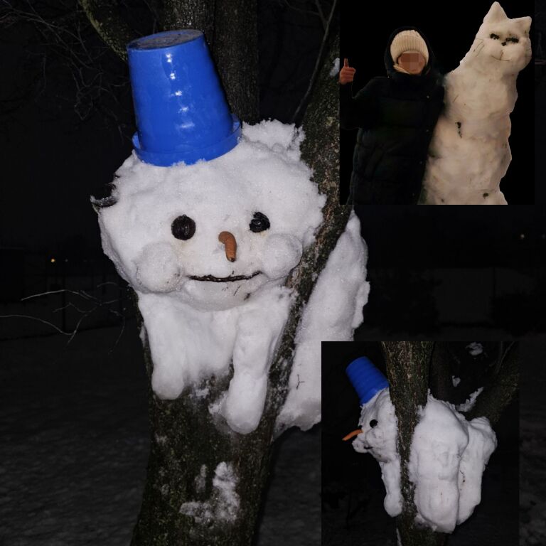 beillesztett kép
