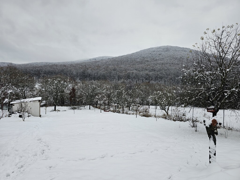 beillesztett kép