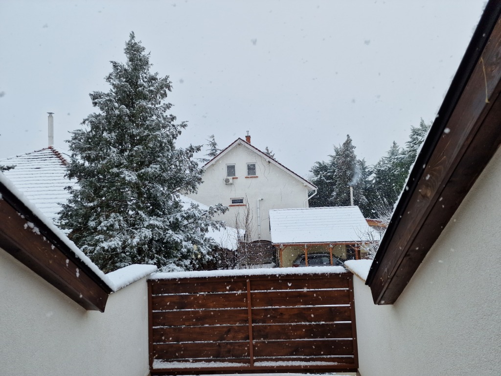 beillesztett kép