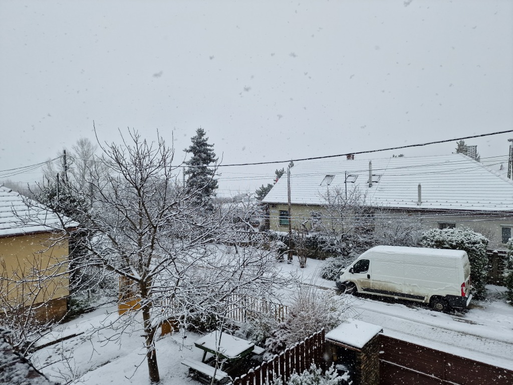 beillesztett kép