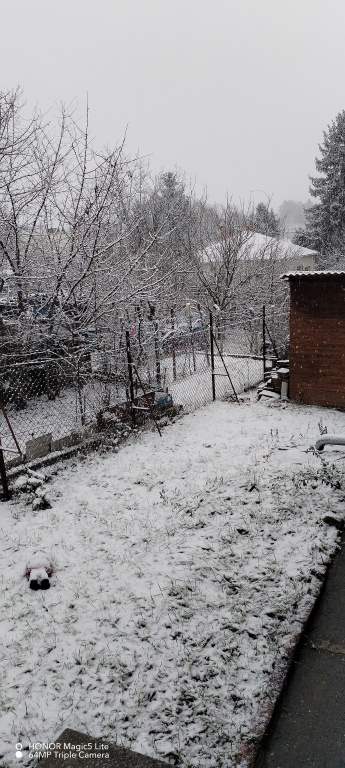 beillesztett kép