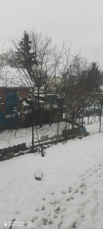 beillesztett kép