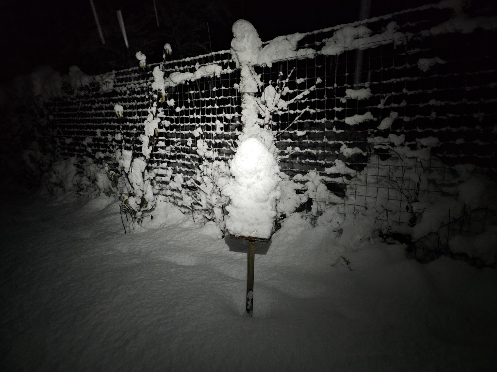 beillesztett kép