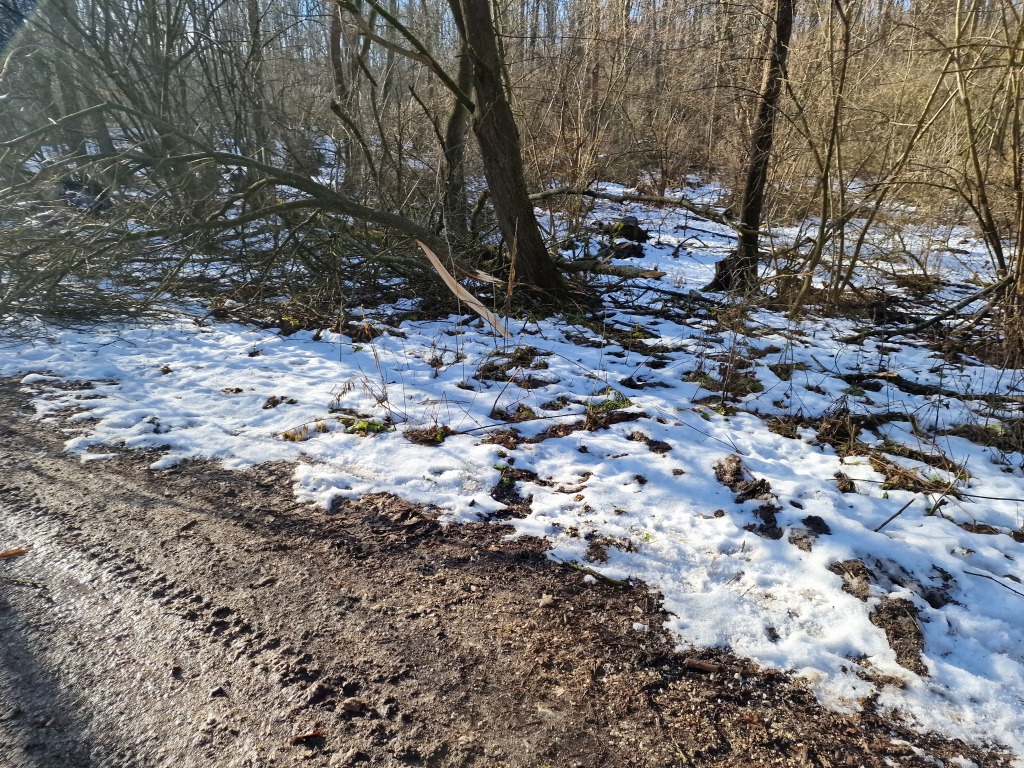 beillesztett kép