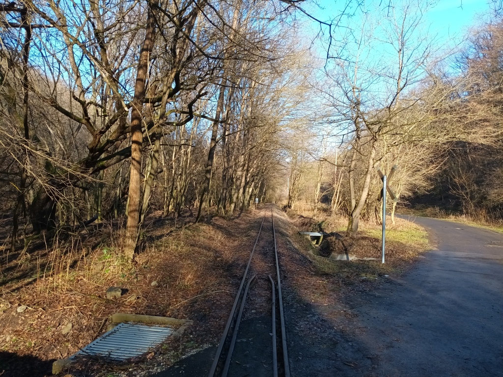 beillesztett kép