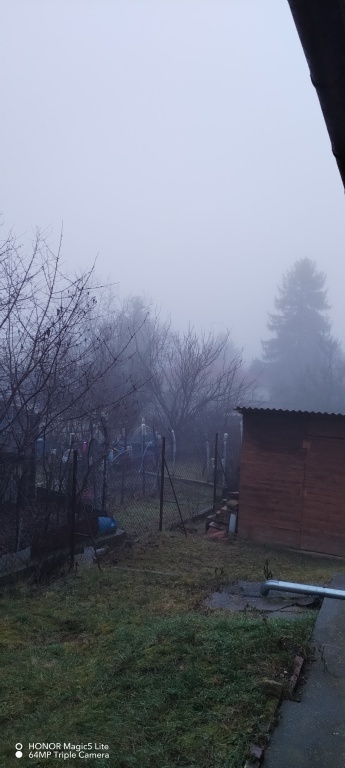 beillesztett kép