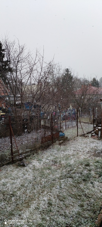 beillesztett kép