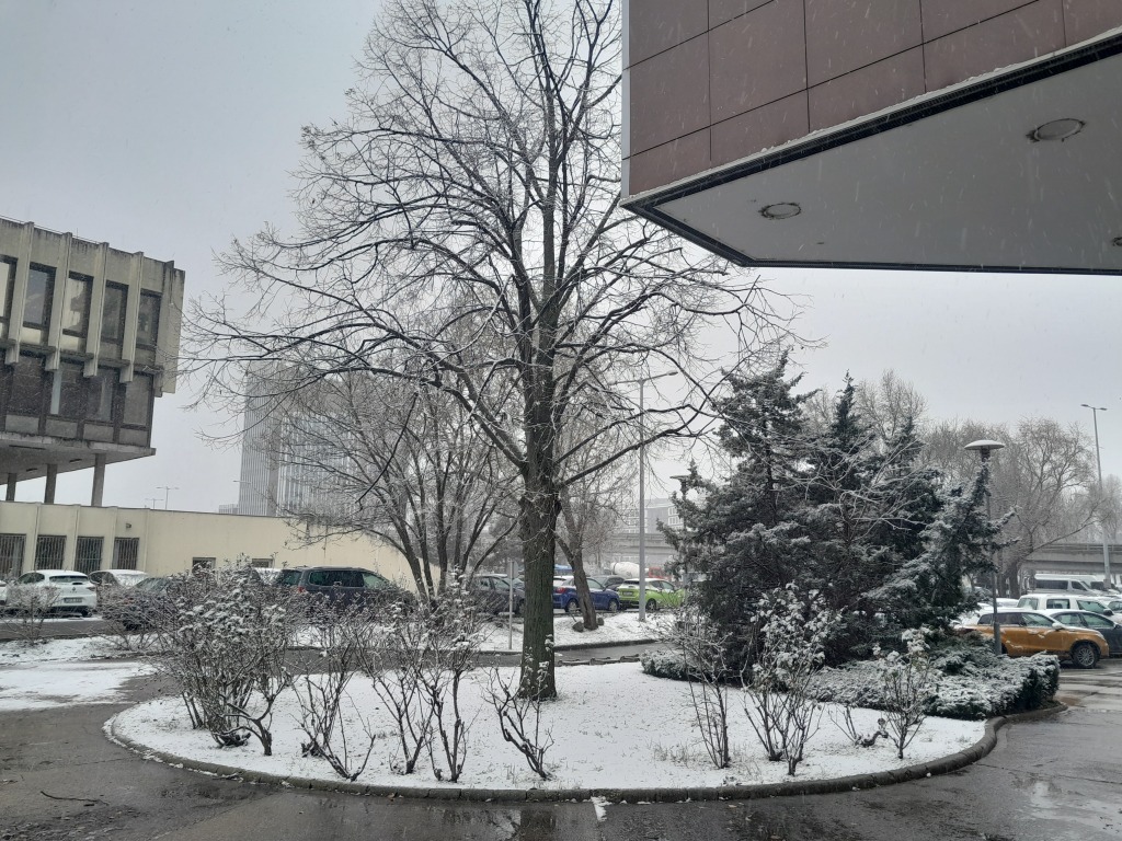 beillesztett kép
