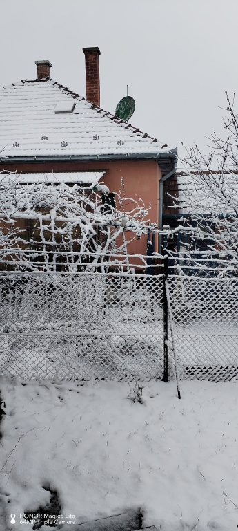 beillesztett kép