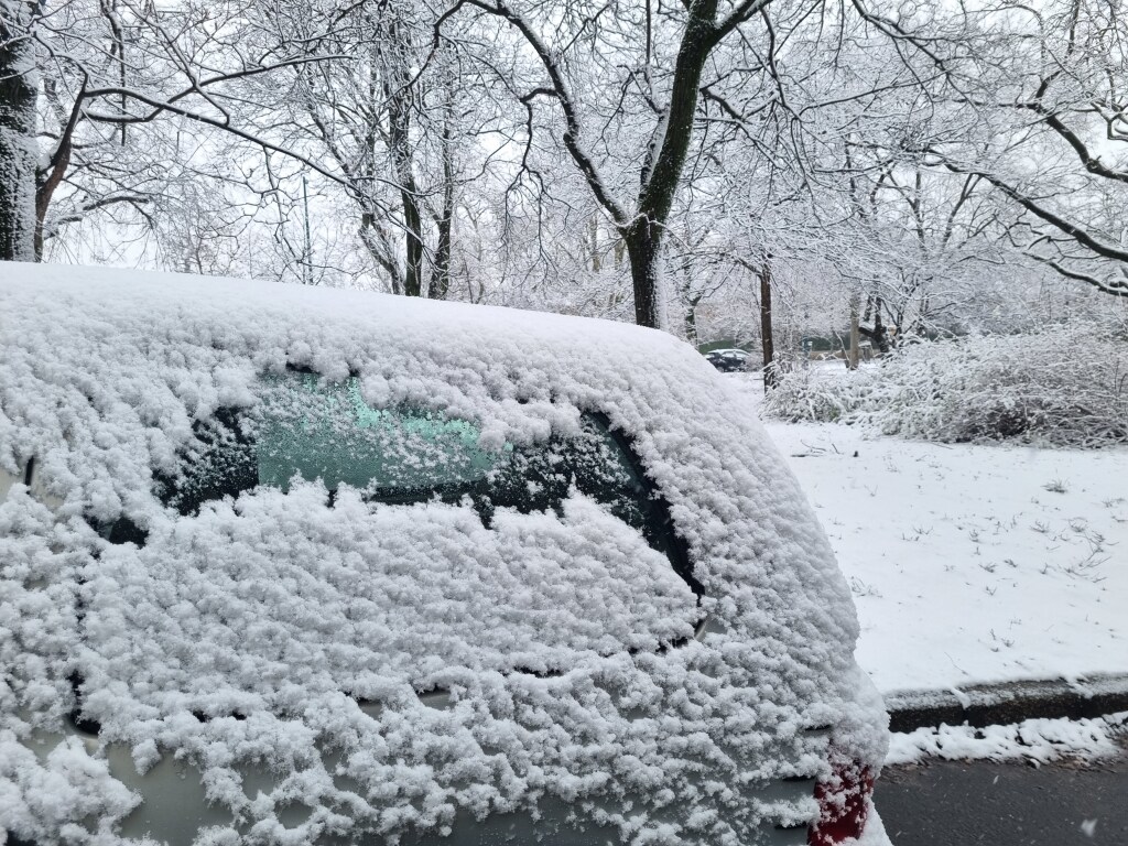 beillesztett kép