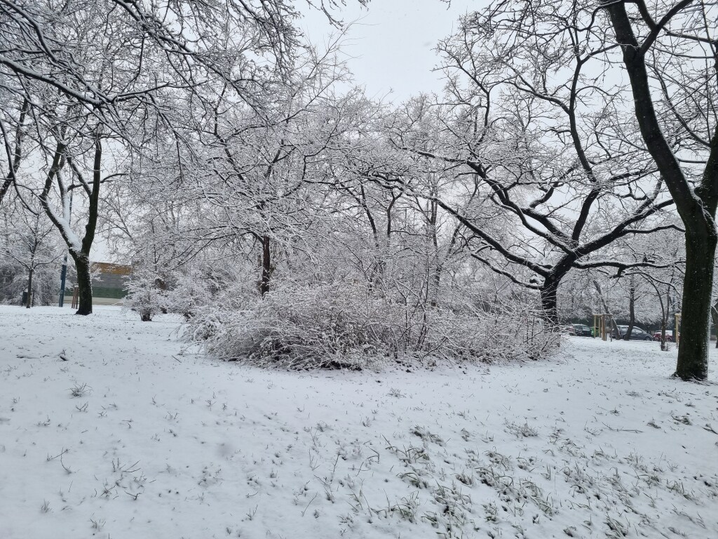 beillesztett kép