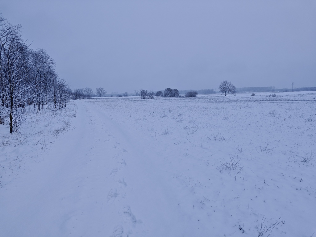 beillesztett kép