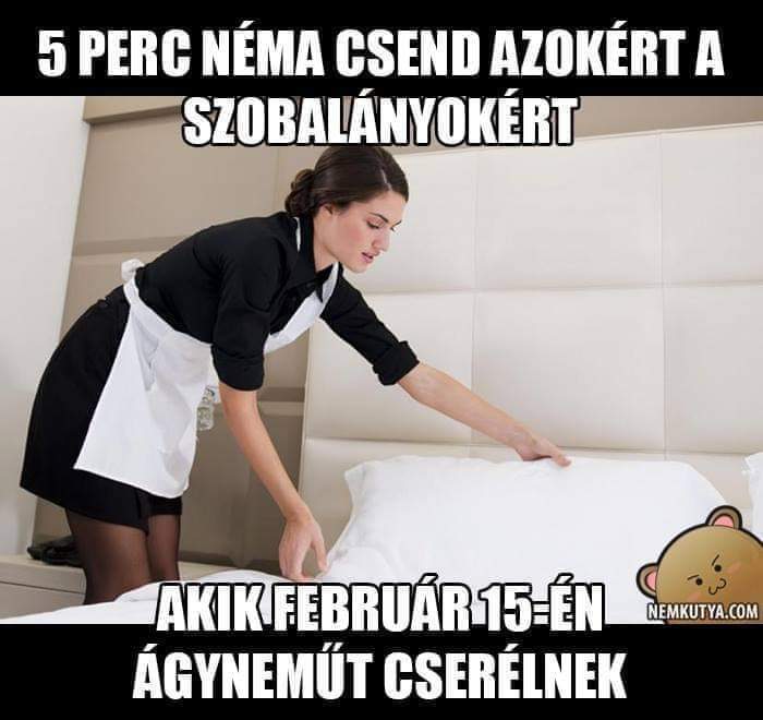 beillesztett kép