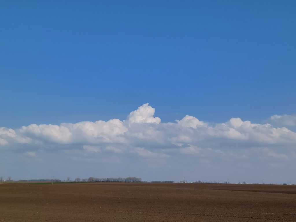 beillesztett kép