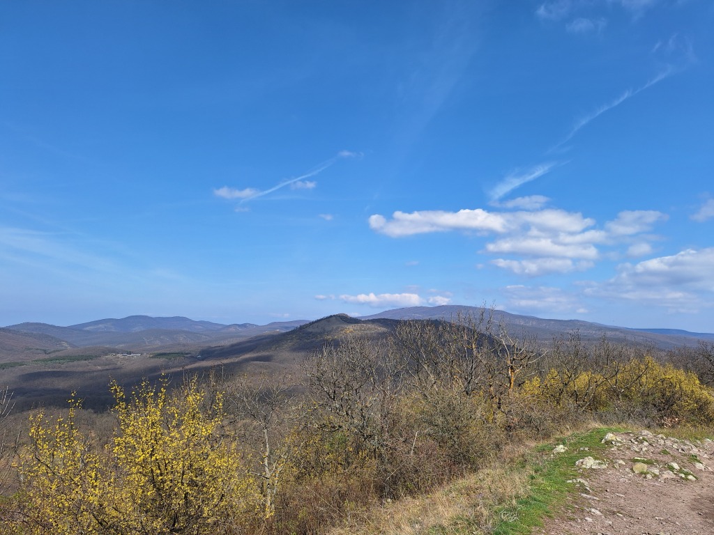 beillesztett kép