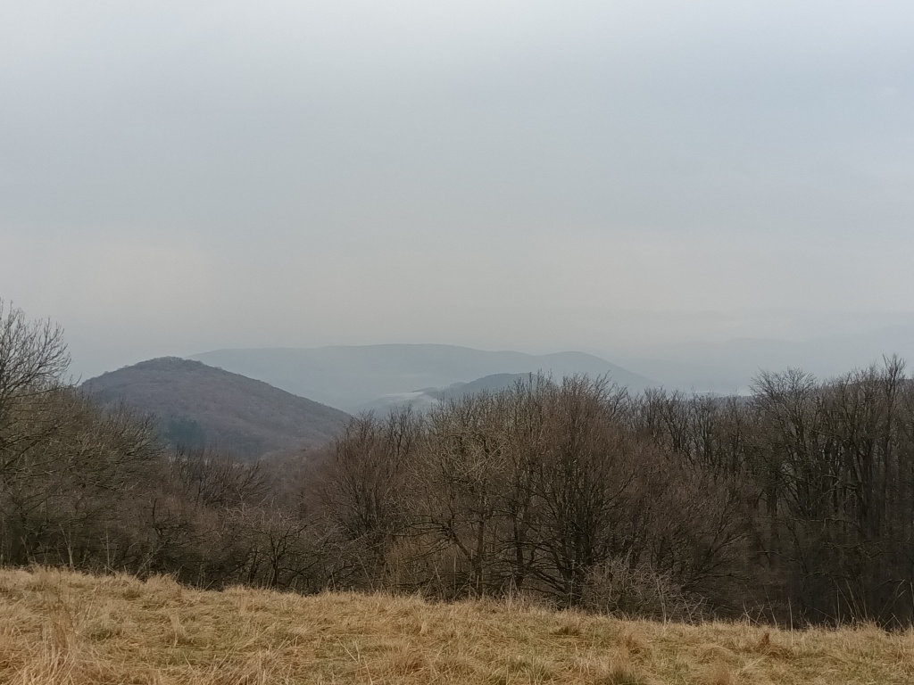 beillesztett kép