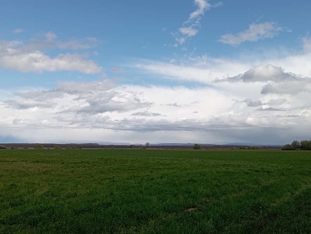 beillesztett kép
