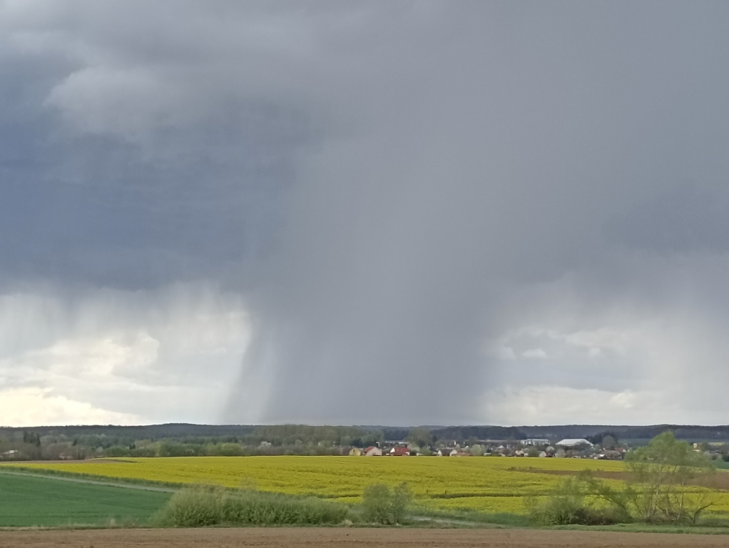 beillesztett kép