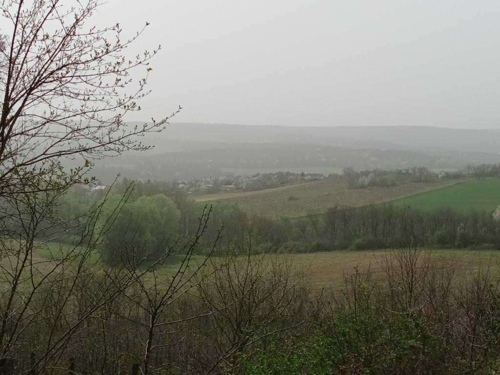 beillesztett kép