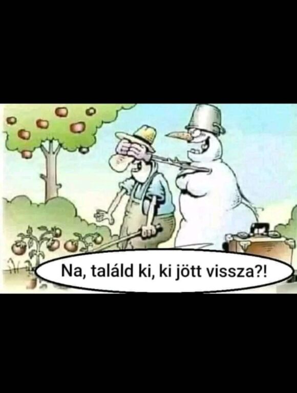 beillesztett kép
