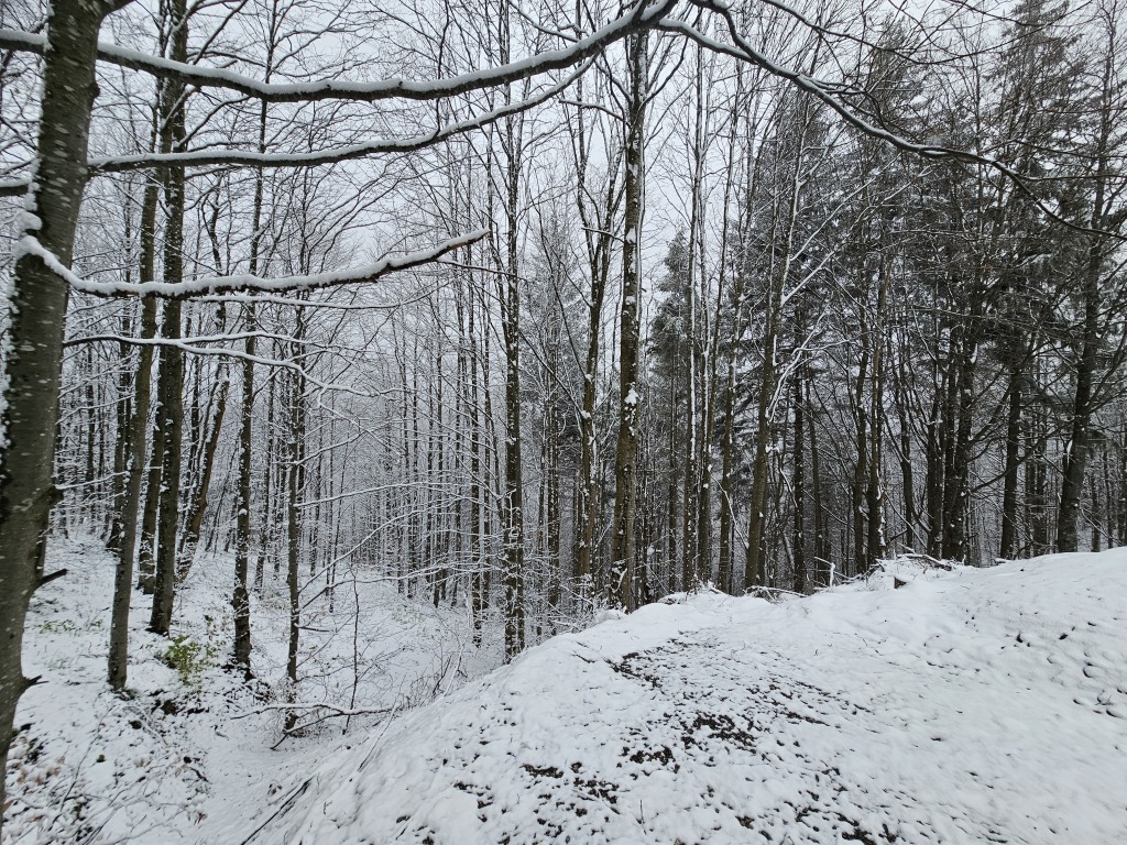 beillesztett kép