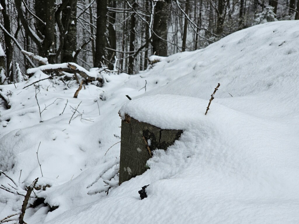 beillesztett kép