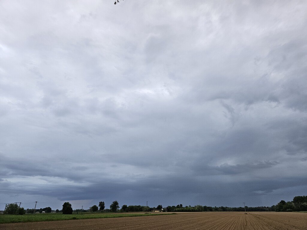 beillesztett kép