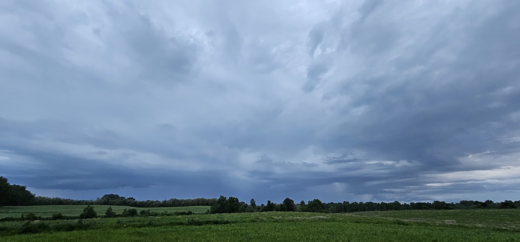 beillesztett kép