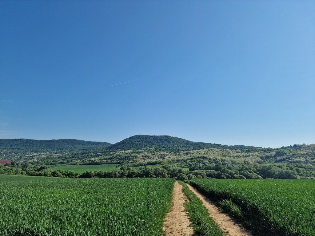 beillesztett kép
