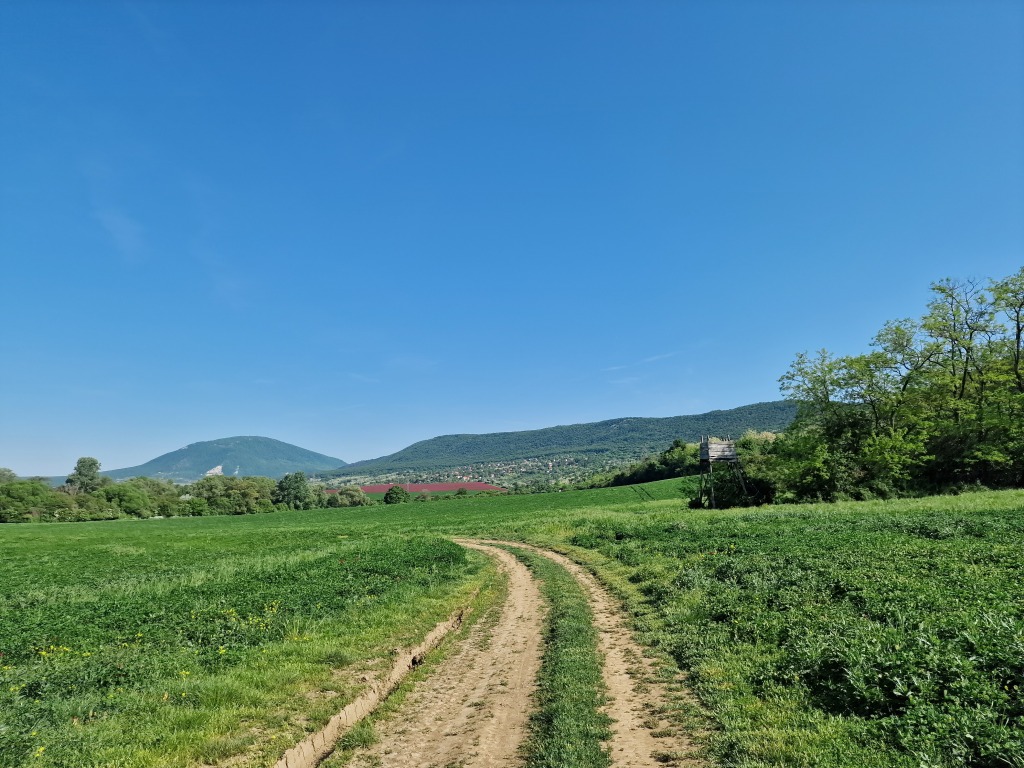 beillesztett kép