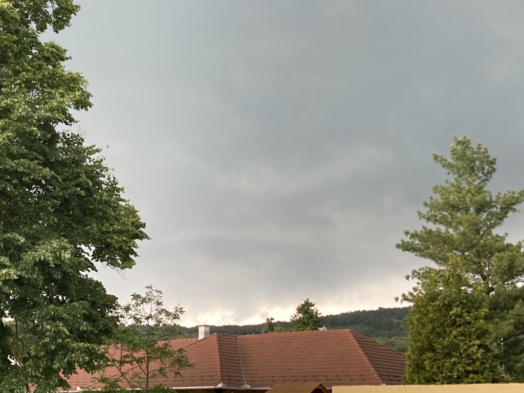 beillesztett kép