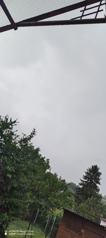 beillesztett kép