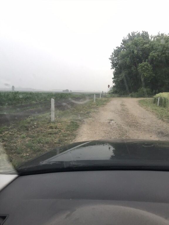 beillesztett kép