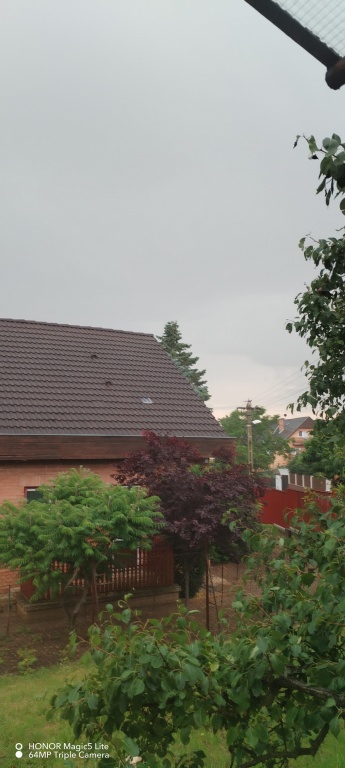beillesztett kép